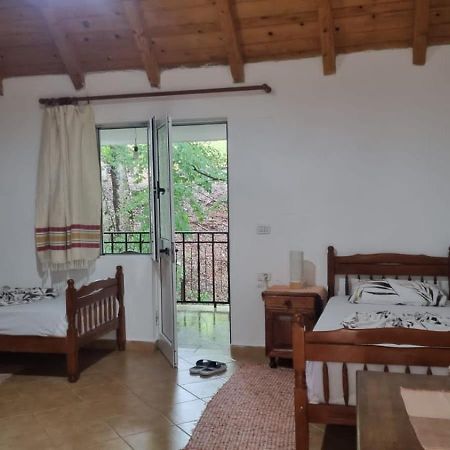 Hotel Bujtina Te Grima Theth Zewnętrze zdjęcie