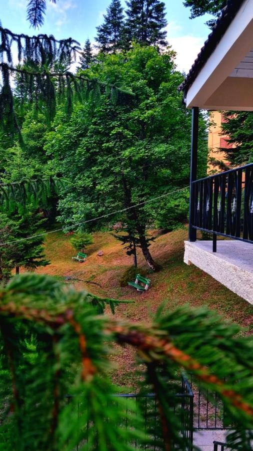 Hotel Bujtina Te Grima Theth Zewnętrze zdjęcie